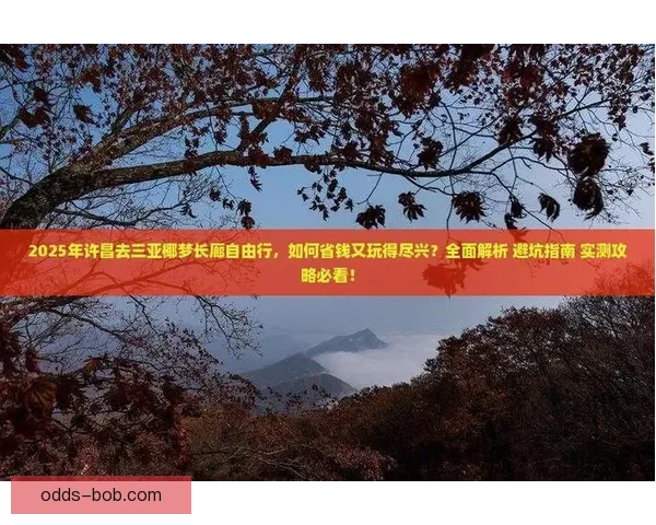 2026世界杯赛事全解析与热门竞猜策略全面指南