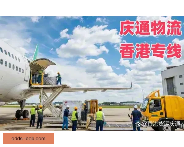 2026世界杯赛事全解析与热门竞猜策略全面指南