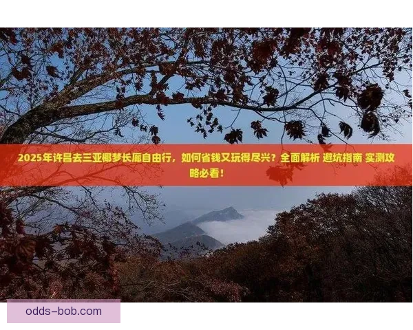 2026世界杯赛事全解析与热门竞猜策略全面指南